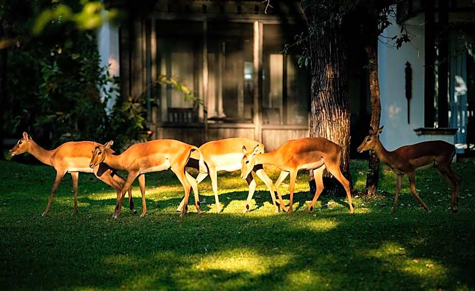 Royal Livingstone Hotel by Anantara