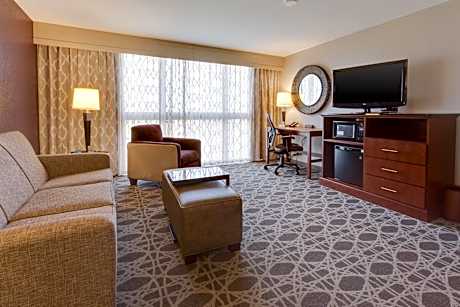 Spacious King Suite