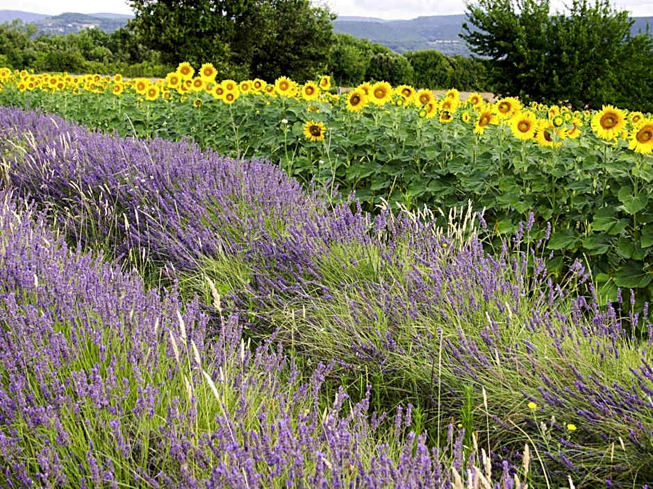 ibis Montélimar Nord