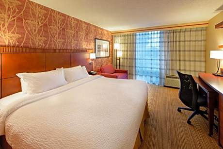 King Room with Bathtub and Sofa Bed - Mobility Access/Hearing Accessible