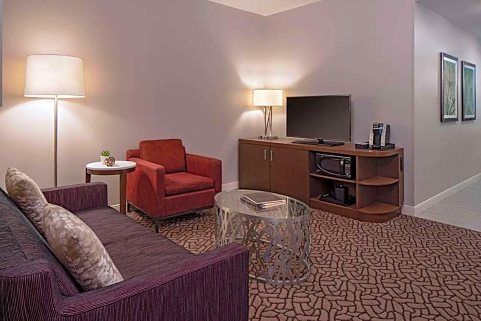 Hilton Garden Inn Downtown Dallas