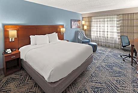 1 King Bed Non-Smoking Sofabed Microwave And Mini-Refrigerator Full Breakfast