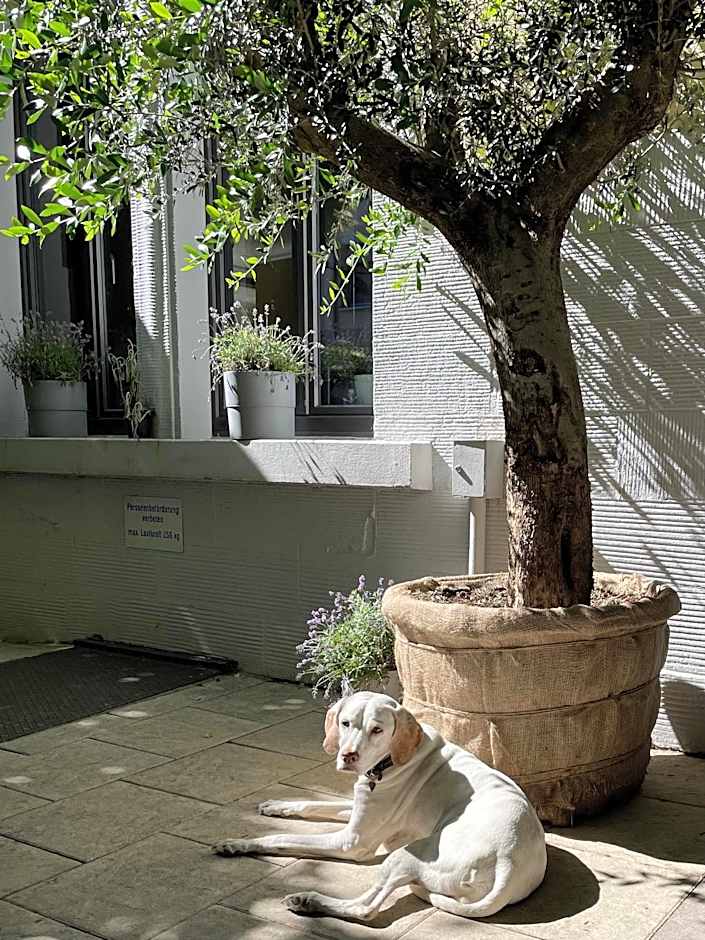 AUERSTEIN-Hotels auerstein & auerstein-mono