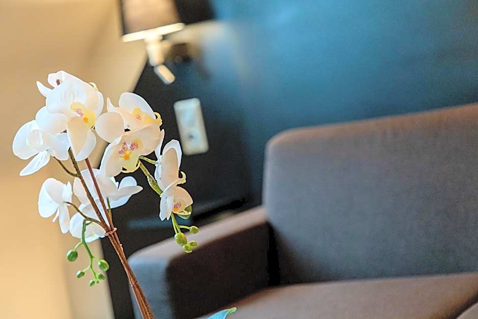 Europe Haguenau – Hotel & Spa