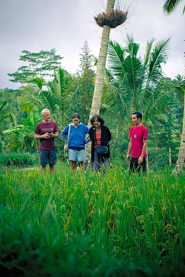Tastura Homestay