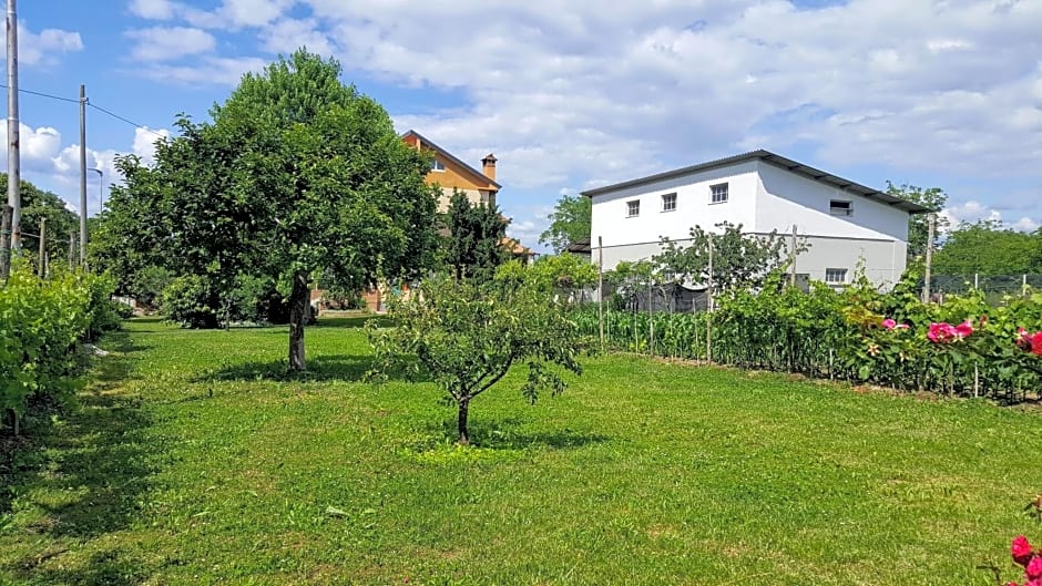 da Vanilla affittacamere