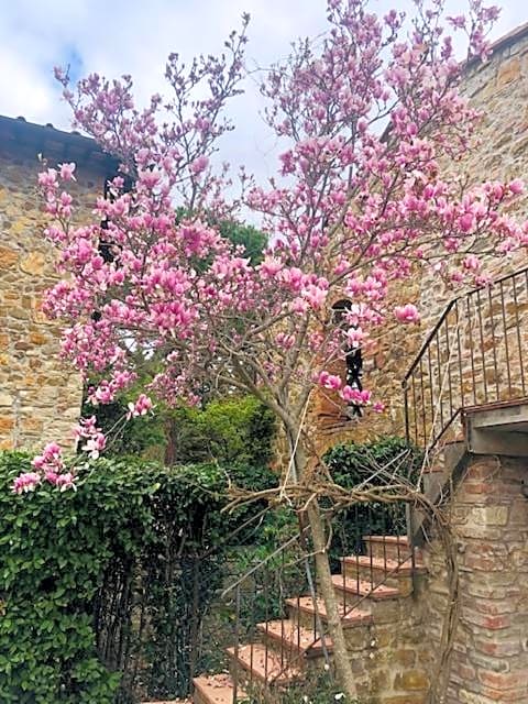 La Magnolia