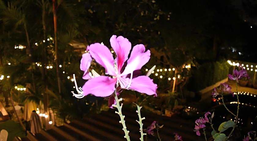 Thongtara House Boutique Residence