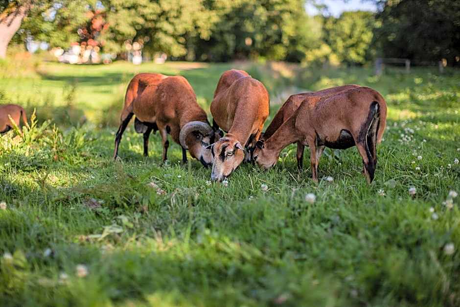 Das Gutshaus Solzow Mecklenburgische Seenplatte Müritz