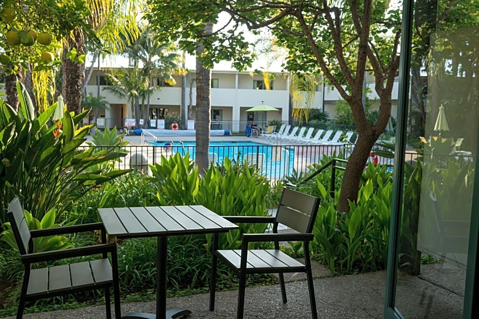 Lemon Tree Inn