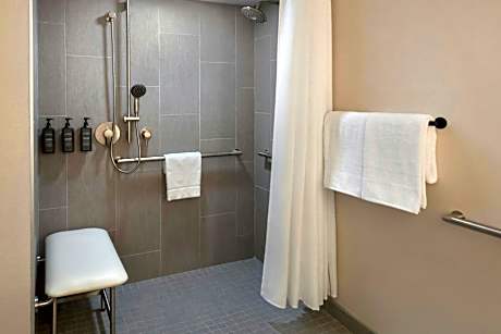 Traditional Queen Room with Roll-in Shower - Mobility and Hearing Accessible