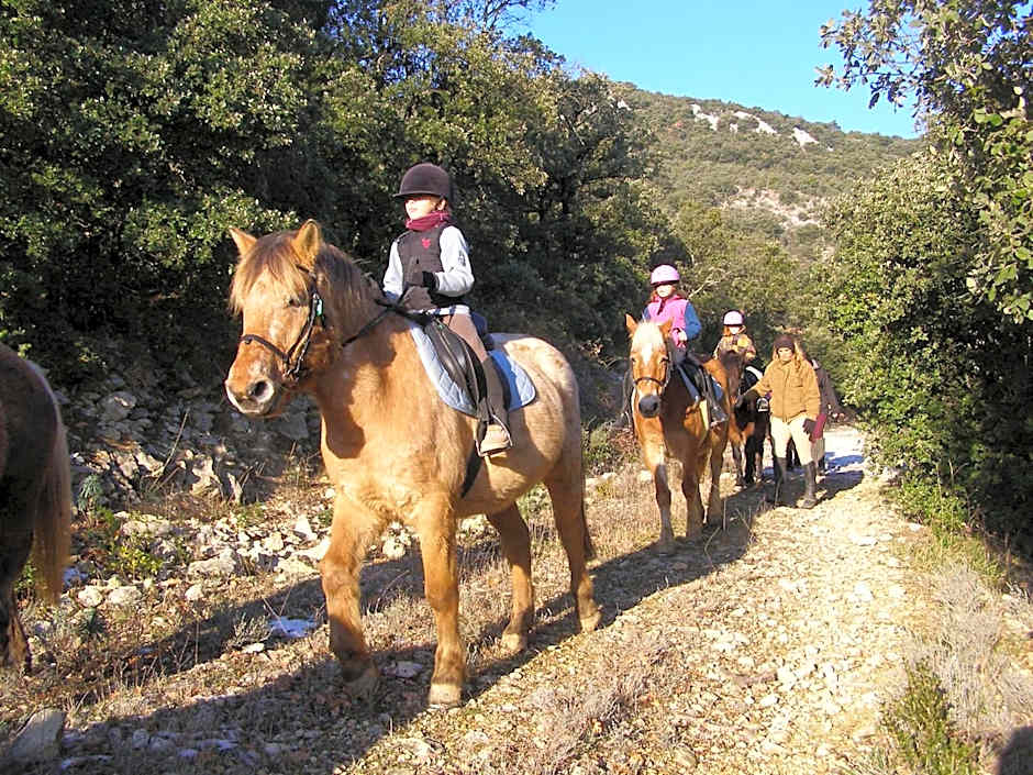 Résidence du Parc - Gorges de l'Hérault - Cévennes - Parc Sports & Loisirs Brissac Ganges