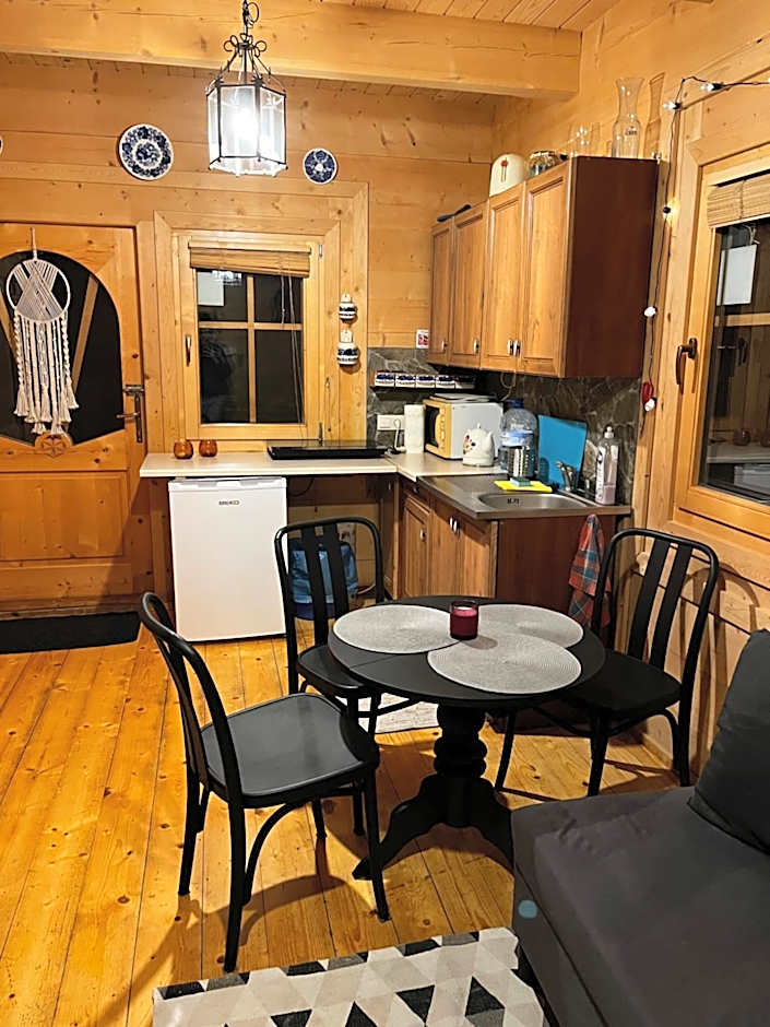 Domek z bali Tryszczyn nad Brdą