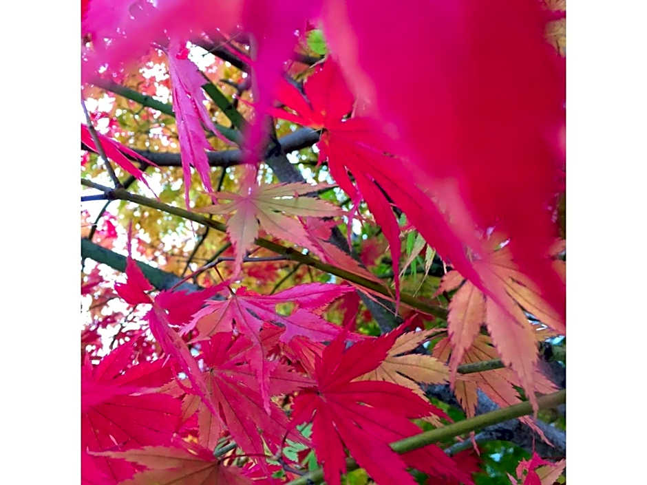 Kusatsu Onsen 326 Yamanoyu Hotel - Vacation STAY 10349v