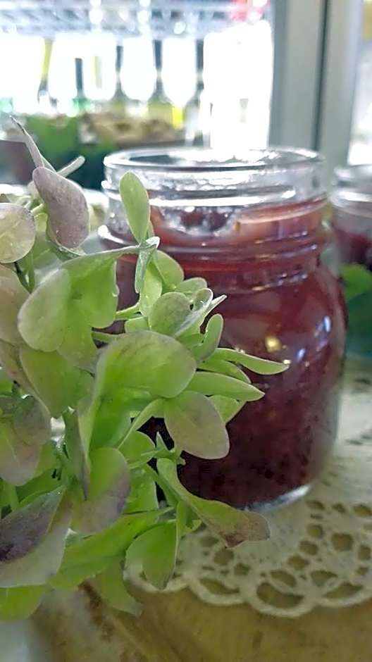 Albergo Garnì Maso Mistrin