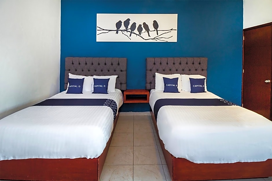Capital O Hotel 522