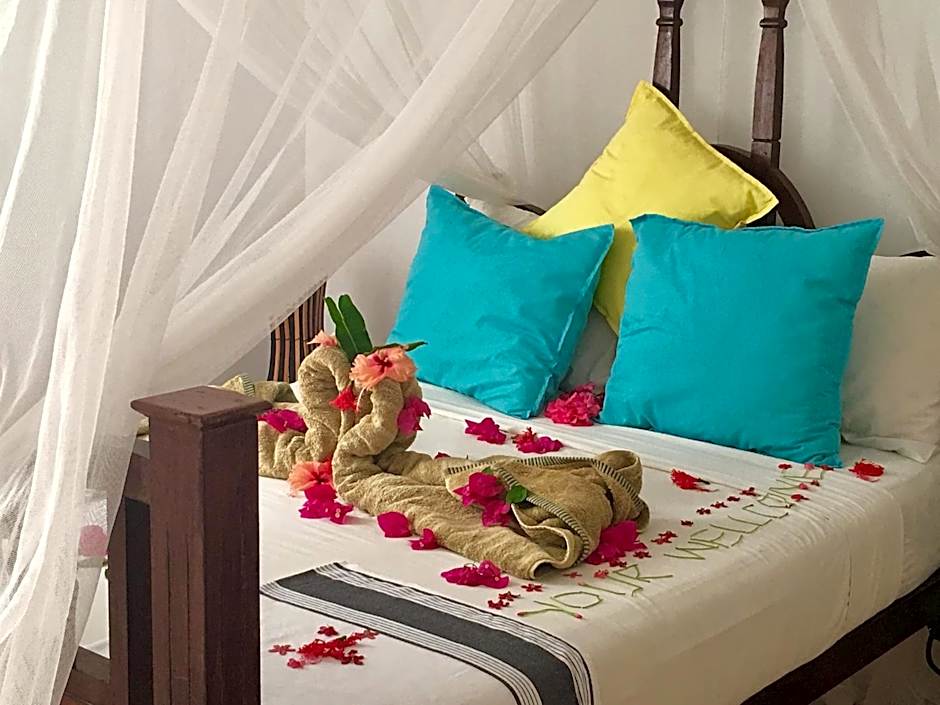 Driftwood Beach Lodge