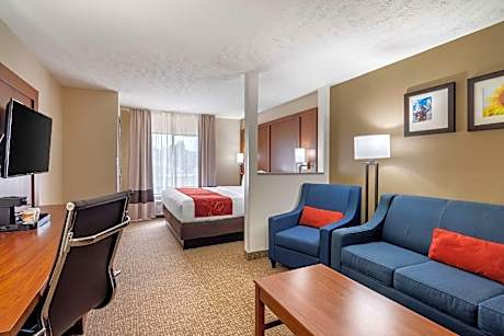 1 King Bed, Suite, Nonsmoking