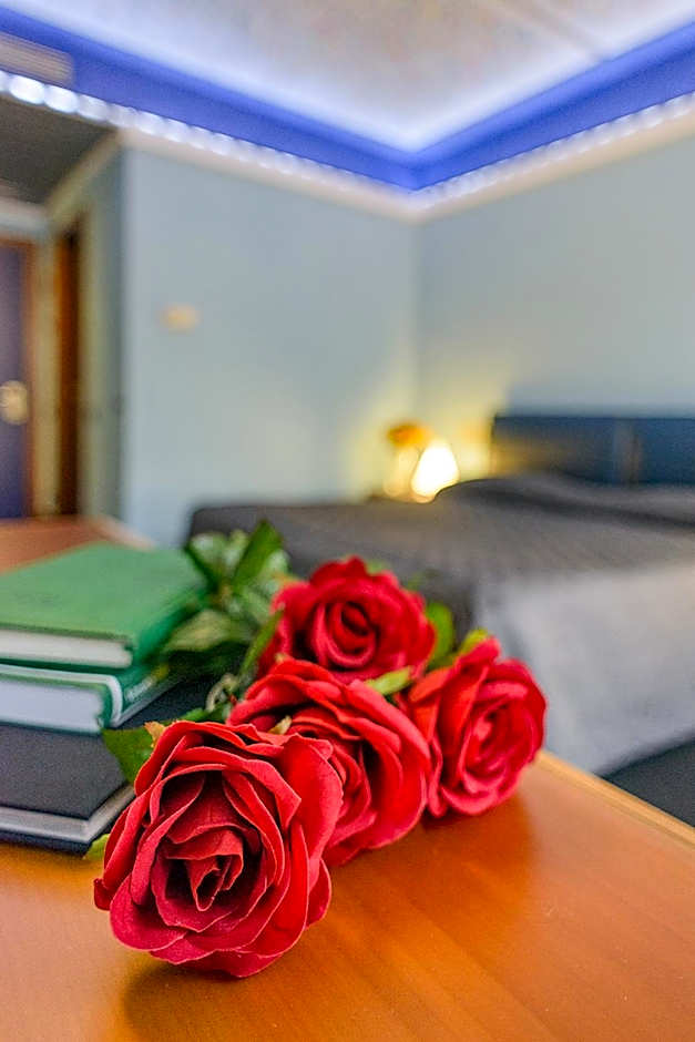 Albornoz Palace Hotel