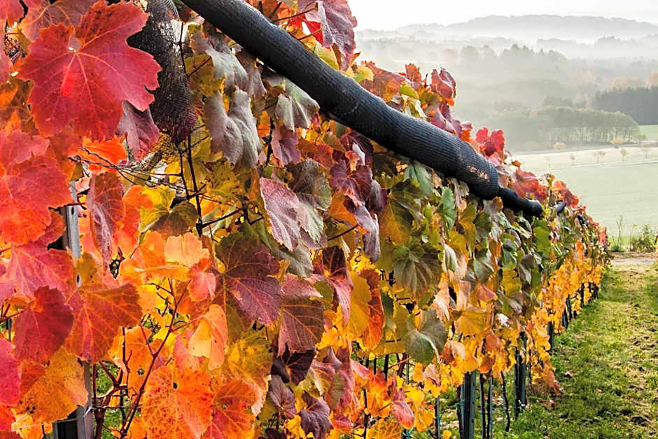 TrippelGUT - SchlafGUT