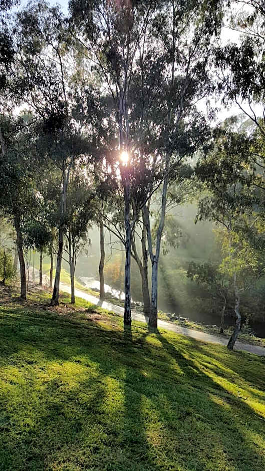 Levi Adelaide Holiday Park