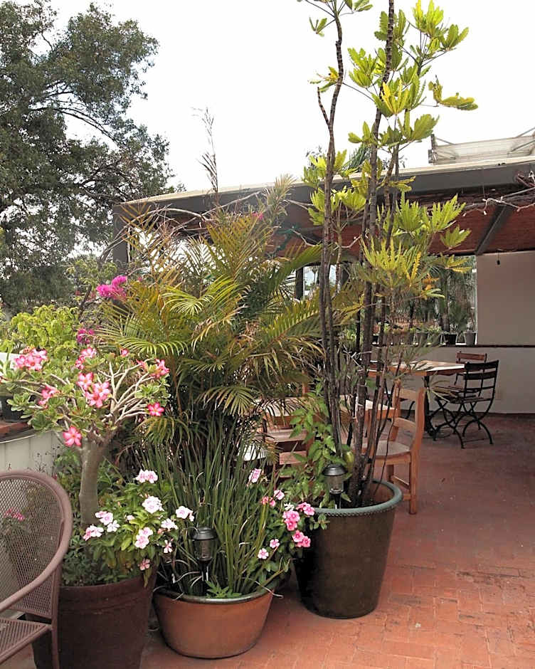 La Cochinilla Hotel Boutique