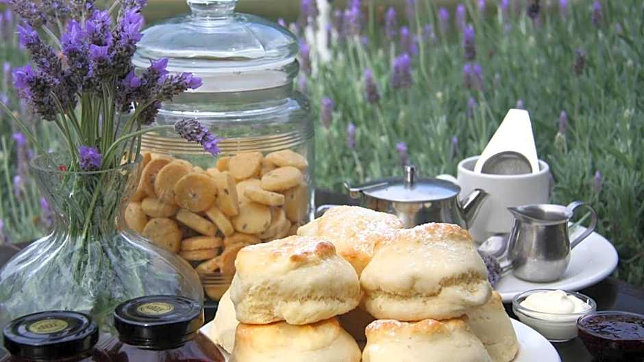 Nautique Beach House - Rustic and Charming, Walk 2 Beach & Shops