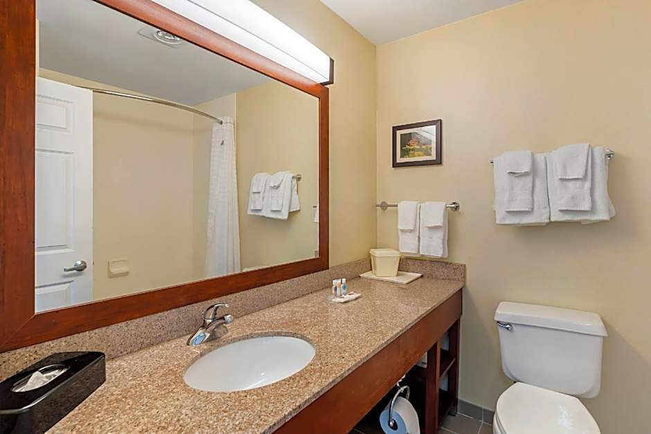Comfort Suites Normal University area