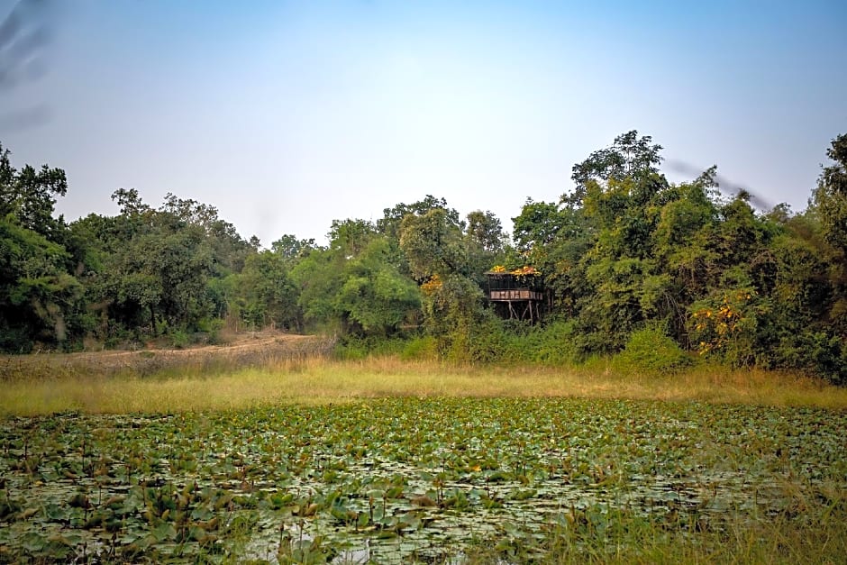 Pugdundee safaris - Tree House Hideaway
