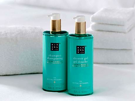 Classic Double Room with Sofa Bed