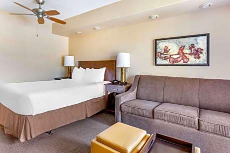 Queen Studio with Sofa Bed and Balcony/Patio