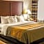 Comfort Inn Birch Run
