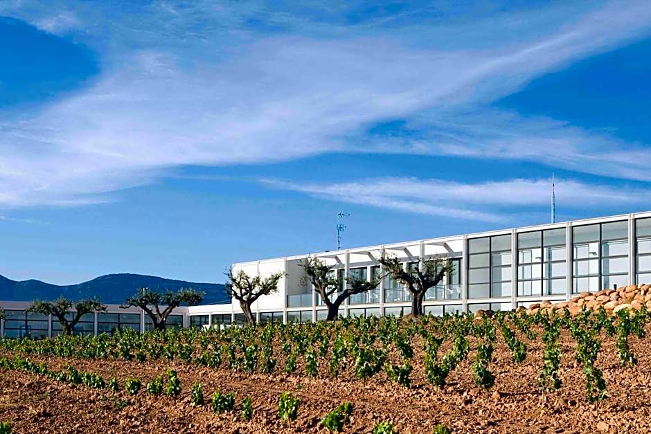 Hotel-Bodega Finca de Los Arandinos