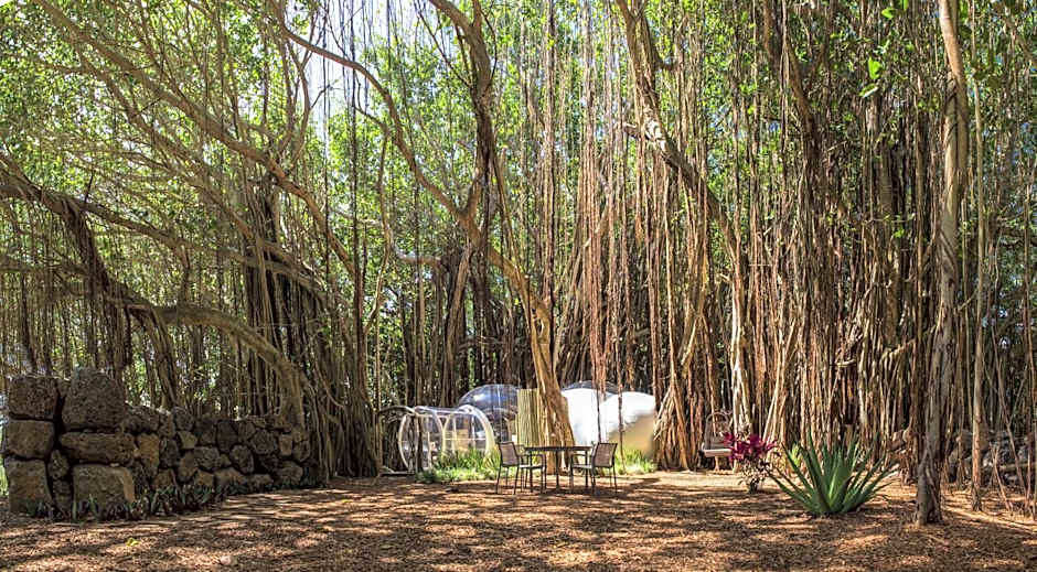 Bubble Lodge Ile aux Cerfs Island