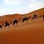 Desert Camel Trekking Camp