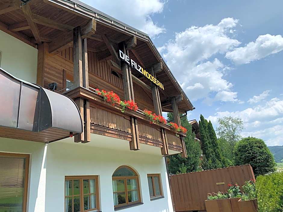 Die Filzmooserin - smart living apartments in Filzmoos, Filzmoos Card inklusive