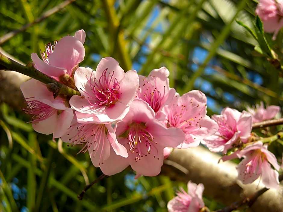 Capitalmoura Mouragolf Village