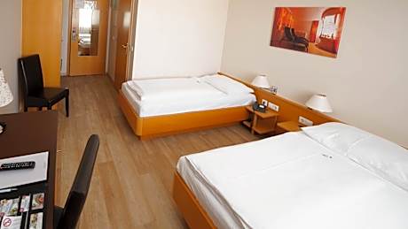 Economy Twin Room