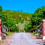 Borgo Malvasia- La Quercia