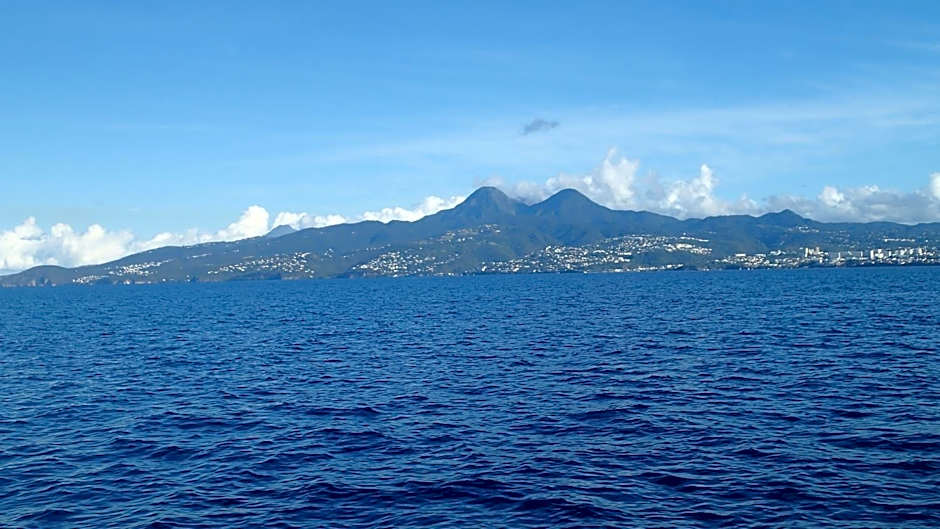 Courbaril Résidence