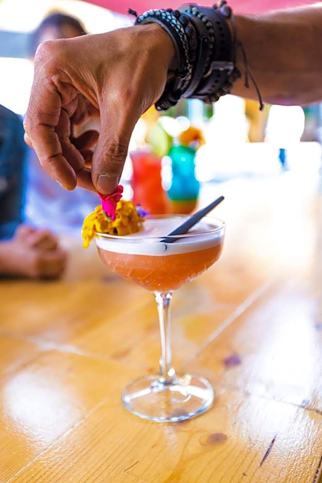 La Villa Vicha, The Originals Relais (Relais du Silence)