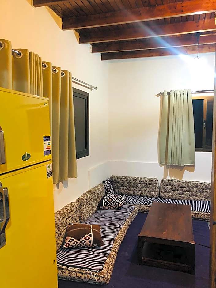 Oasis Fighting Kangaroo