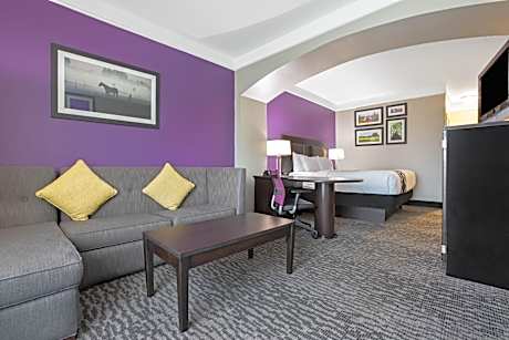 Executive King Room Non Smoking