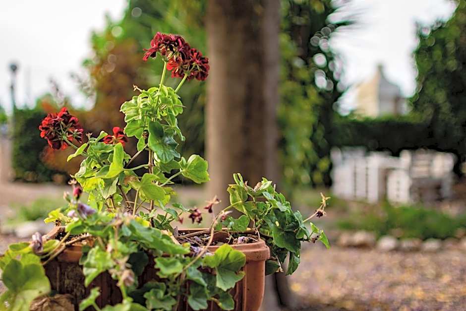 Antica Casina B&B di Charme