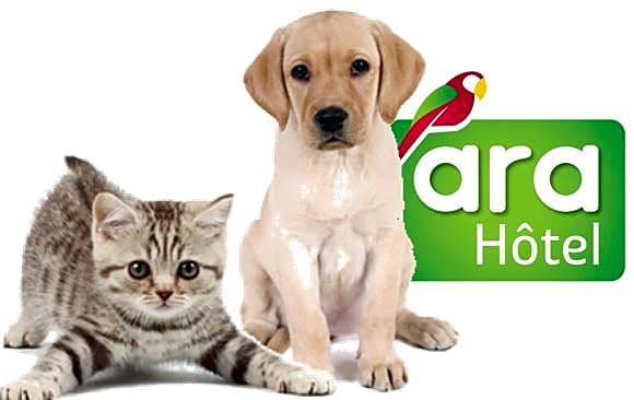 The Originals City, Ara Hôtel, Landerneau