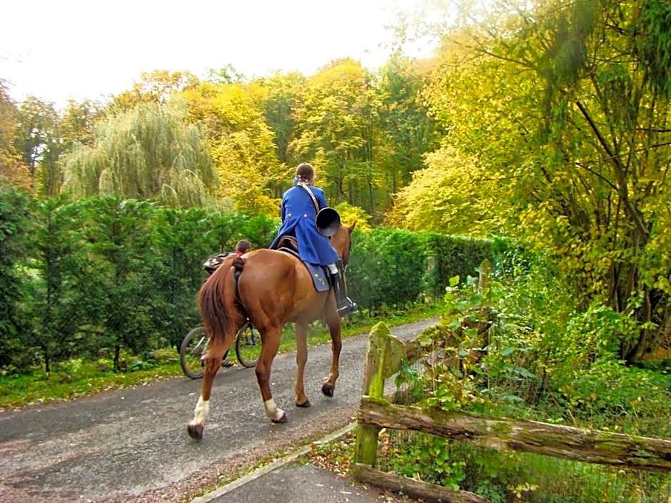 Le jardin de Saint Jean