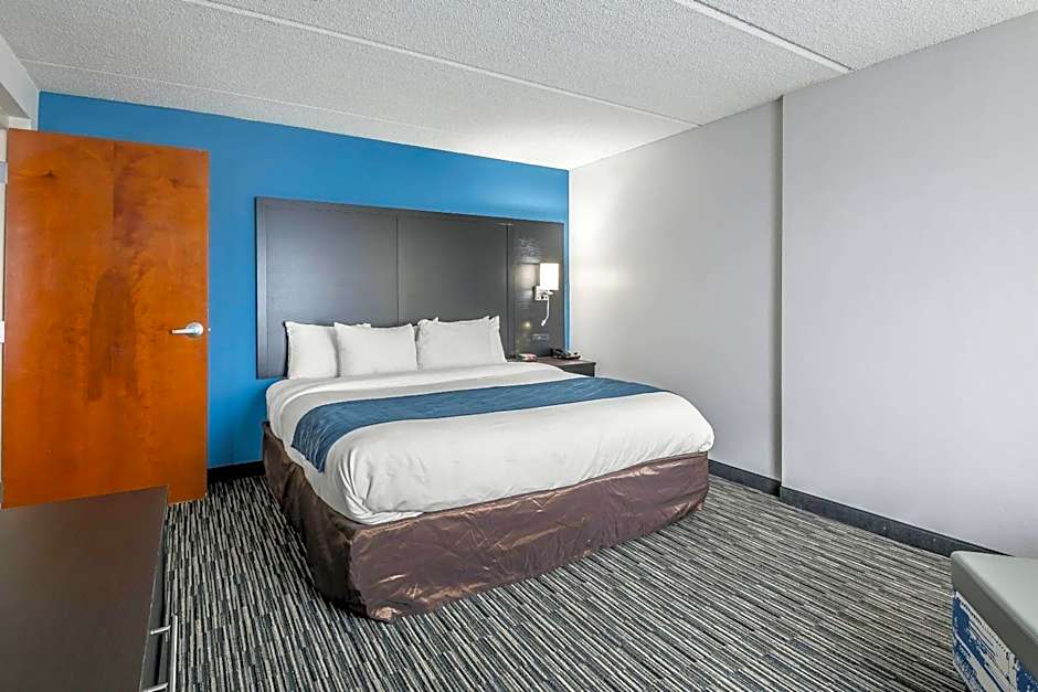 Comfort Inn University Gainesville