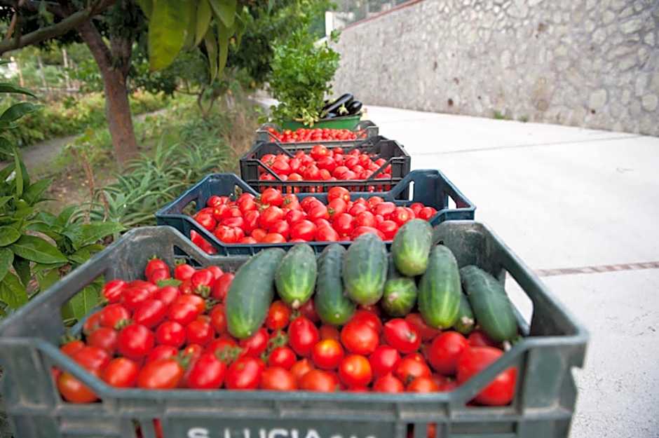 Paradise Relais Villa Janto'