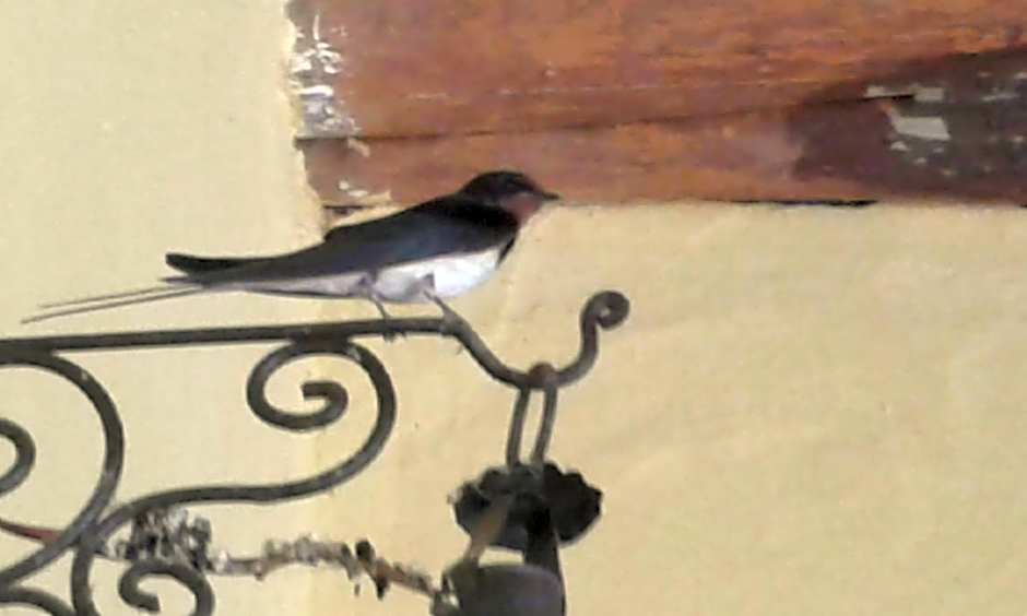 Riad Cascades d'Ouzoud