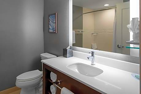 Studio, 1 King Bed with Sofa bed (Mobility Accessible, Tub) (1 King Bed and 1 Double Sofa Bed)